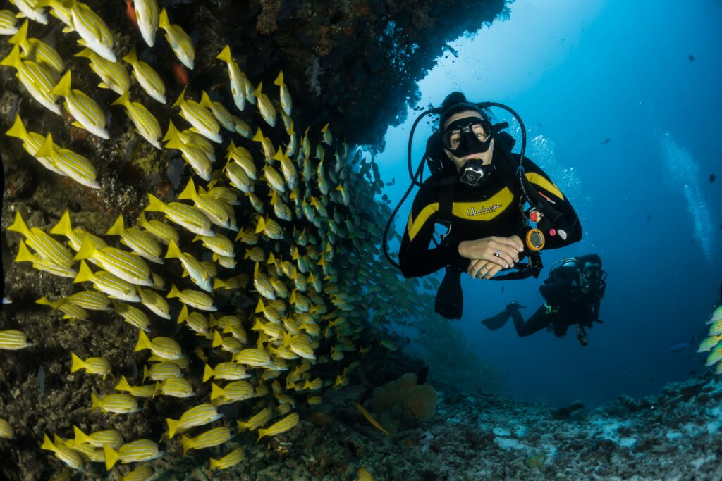 Scuba Diving - Sebastian Pena Lambarri